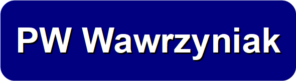 PW Wawrzyniak - Usługi elektryczne, Tworzenie stron WWW